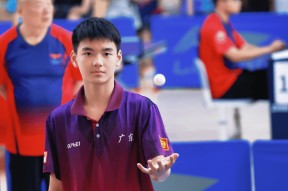 体育赛事APP-小将表现出色，入选国家队备战国际赛事的简单介绍