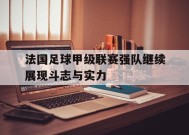 满冠体育APP-关于法国足球甲级联赛强队继续展现斗志与实力的信息
