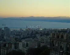 包含佛罗伦萨客场逼平热那亚，保持不败的词条